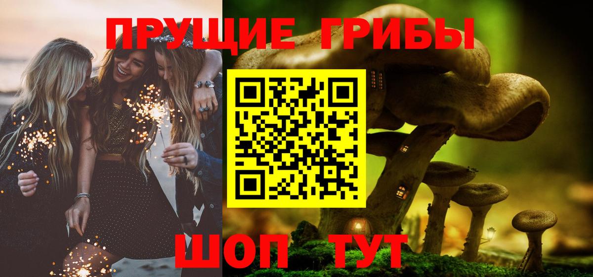 Псилоцибиновые грибы мицелий Нягань